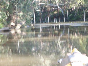 Under the slalom